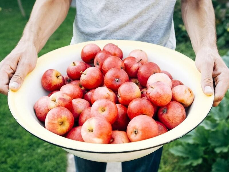 Antioxidants in Food and Supplements: Understanding What They Do in the Body